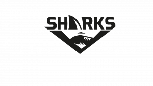 Logo Sharks Cheer Squad